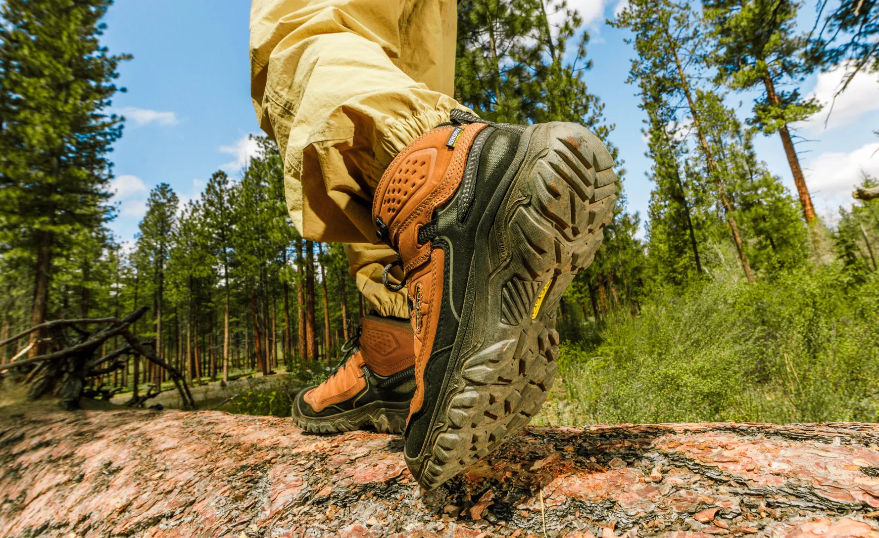 Men's Targhee IV Waterproof Hiking Boot  |  Bison/Black